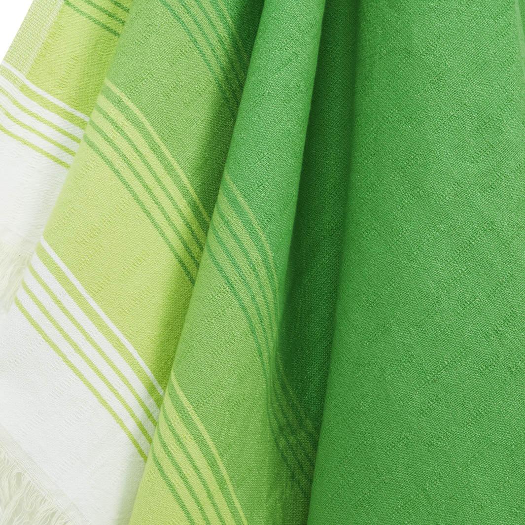 Close up of Fiesta in green.